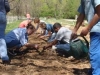 planting-and-watering-lettuce-sm